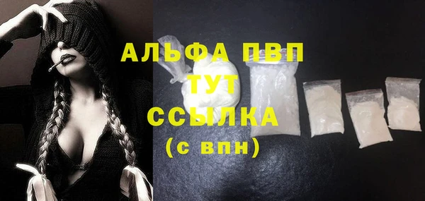 прущие грибы Володарск