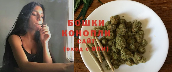 прущие грибы Володарск