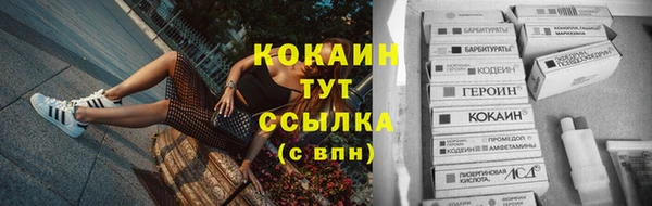 дживик Волоколамск
