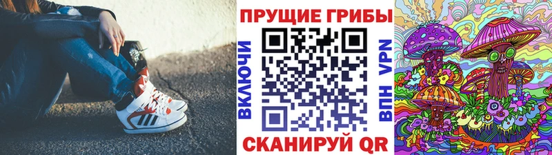 Псилоцибиновые грибы MAGIC MUSHROOMS  Купить закладки  Порхов 